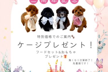 短足×爆毛！！かわいくないわけがない！